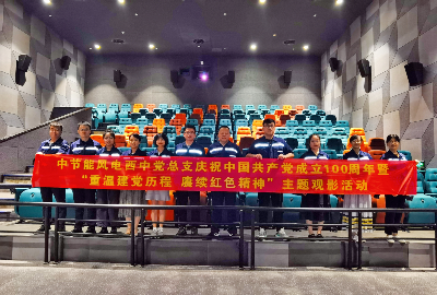 西中公司党总支开展“学习党史正其时  传承奋进新征程”主题党日系列活动